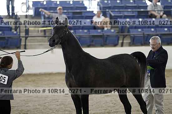 Proof Number 10r14_0271