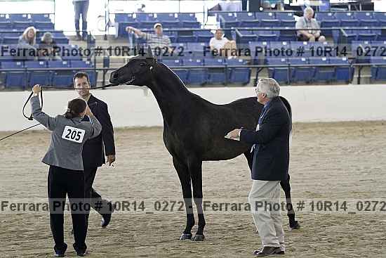 Proof Number 10r14_0272