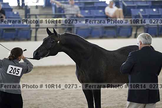 Proof Number 10r14_0273