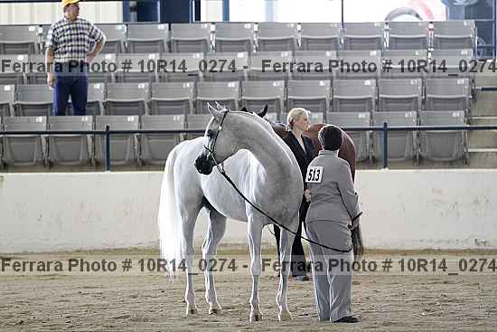 Proof Number 10r14_0274