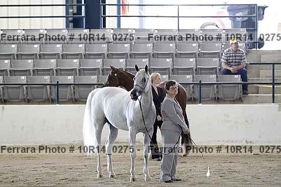 Proof Number 10r14_0275
