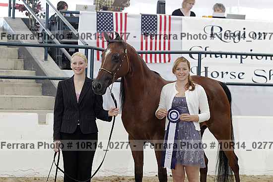 Proof Number 10r14_0277