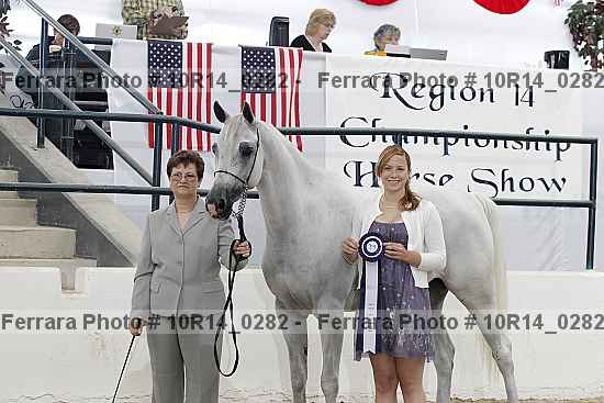 Proof Number 10r14_0282