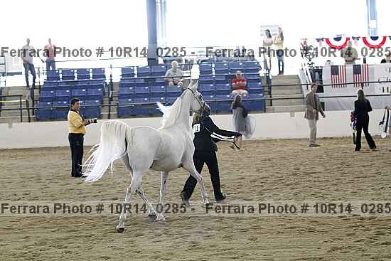 Proof Number 10r14_0285