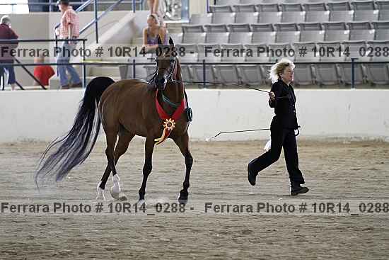Proof Number 10r14_0288
