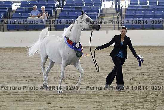 Proof Number 10r14_0291