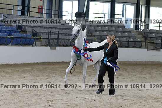 Proof Number 10r14_0292