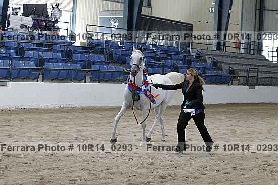 Proof Number 10r14_0293