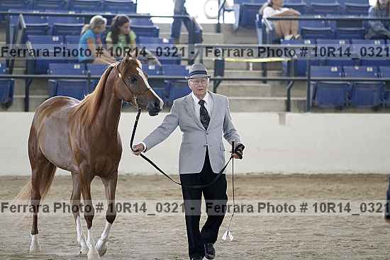 Proof Number 10r14_0321