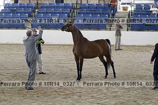 Proof Number 10r14_0327
