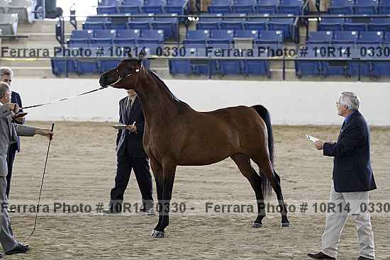 Proof Number 10r14_0330