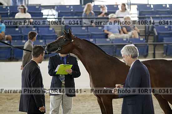 Proof Number 10r14_0341