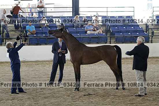 Proof Number 10r14_0342