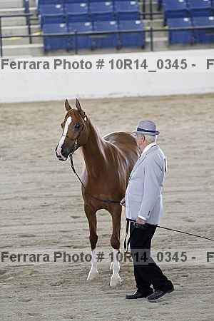 Proof Number 10r14_0345