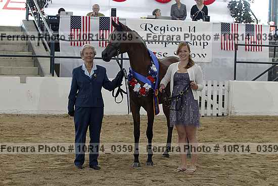 Proof Number 10r14_0359