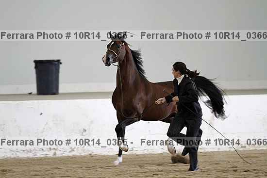 Proof Number 10r14_0366