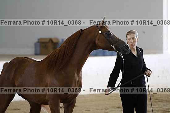 Proof Number 10r14_0368