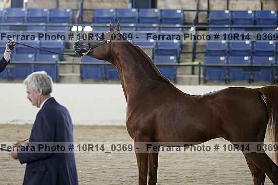 Proof Number 10r14_0369