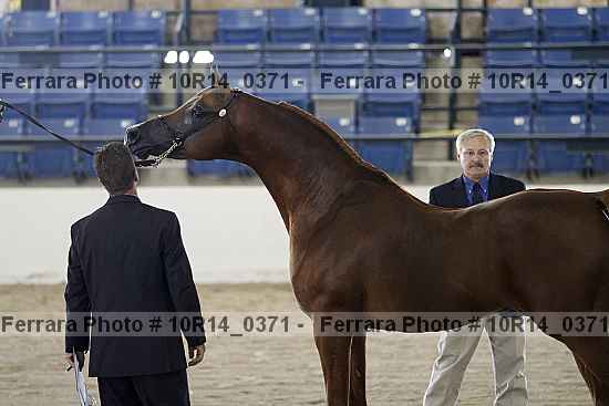 Proof Number 10r14_0371