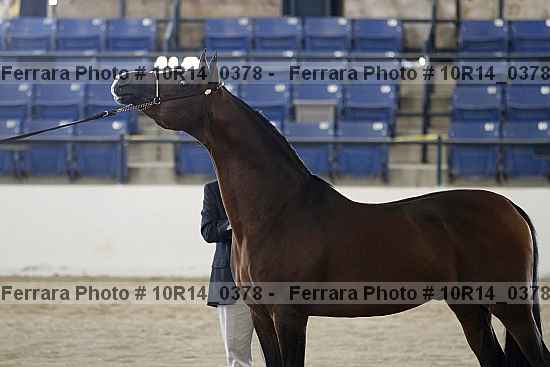 Proof Number 10r14_0378