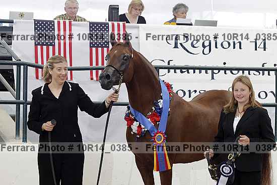 Proof Number 10r14_0385