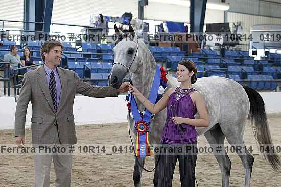 Proof Number 10r14_0419