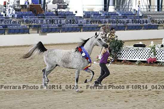 Proof Number 10r14_0420