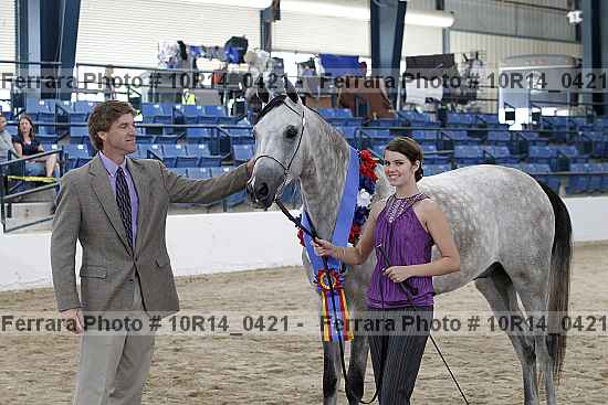 Proof Number 10r14_0421