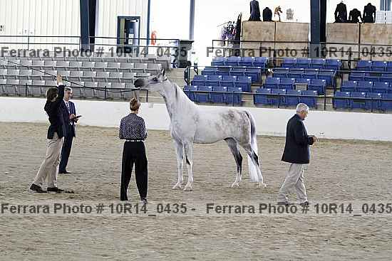 Proof Number 10r14_0435