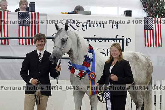 Proof Number 10r14_0443