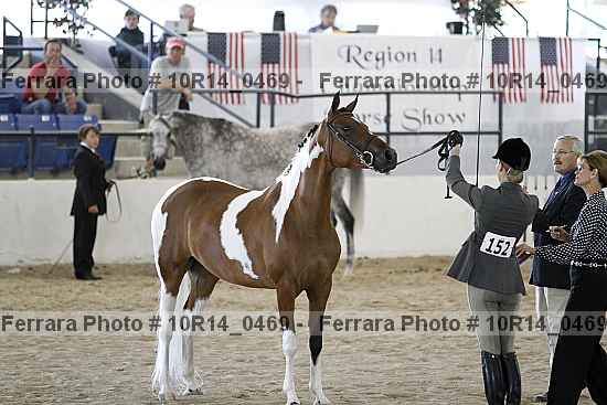 Proof Number 10r14_0469