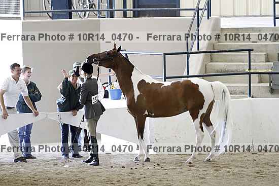 Proof Number 10r14_0470