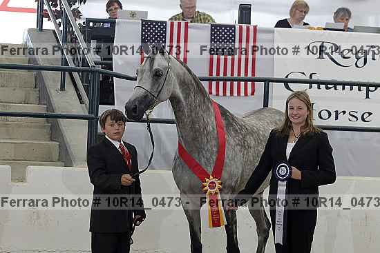 Proof Number 10r14_0473