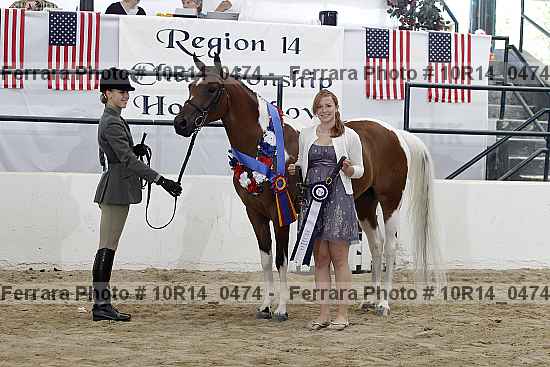 Proof Number 10r14_0474