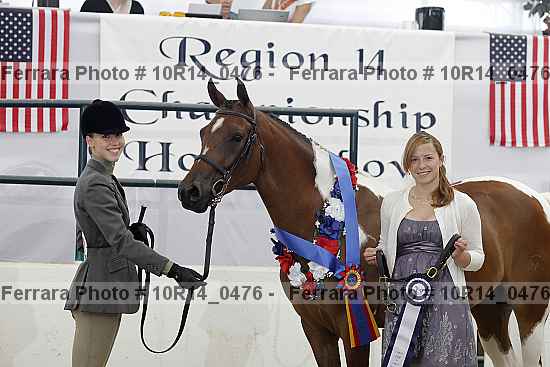 Proof Number 10r14_0476