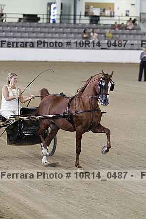 Proof Number 10r14_0487