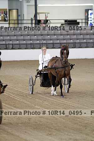 Proof Number 10r14_0495
