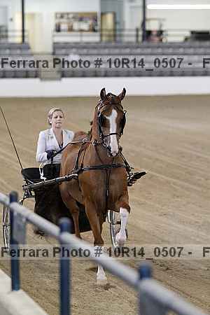 Proof Number 10r14_0507