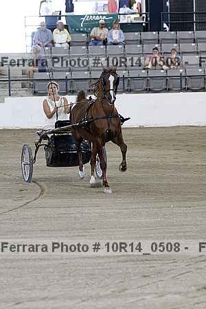 Proof Number 10r14_0508