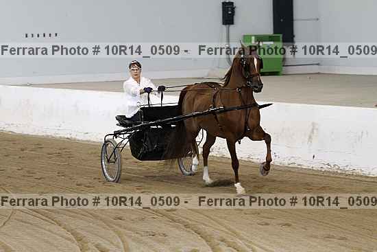 Proof Number 10r14_0509