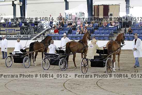 Proof Number 10r14_0512