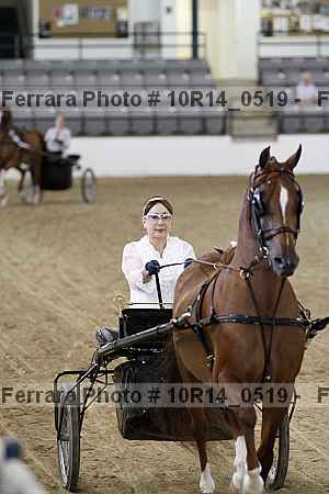 Proof Number 10r14_0519