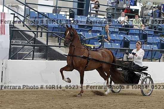 Proof Number 10r14_0523