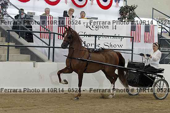 Proof Number 10r14_0524