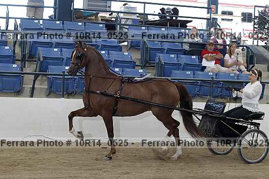 Proof Number 10r14_0525