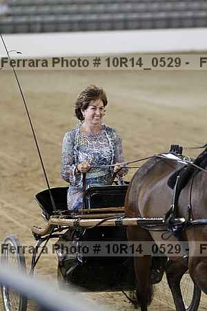Proof Number 10r14_0529
