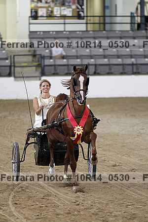 Proof Number 10r14_0530