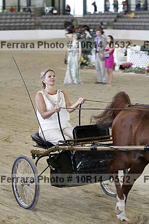 Proof Number 10r14_0532