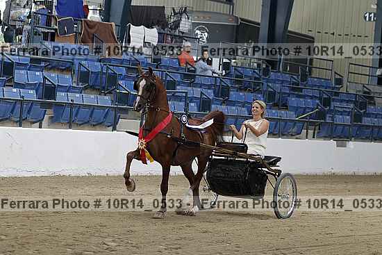 Proof Number 10r14_0533