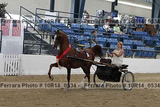Proof Number 10r14_0534